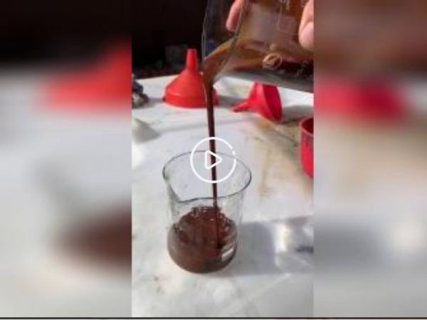 酶解鱼蛋白浆